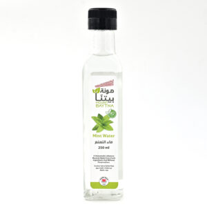 Mint Water 250 ml